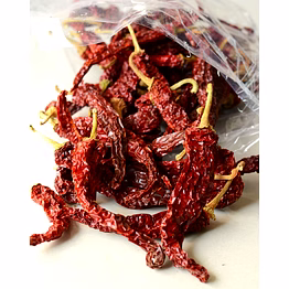 2043 syngenta dry red chilli