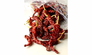 2043 Syngenta Dry Red Chilli