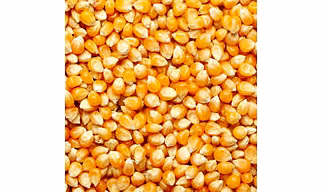 WHOLE MAIZE
