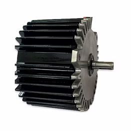 ssn bldc permanent magnet generator