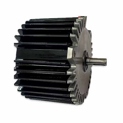 ssn bldc permanent magnet generator