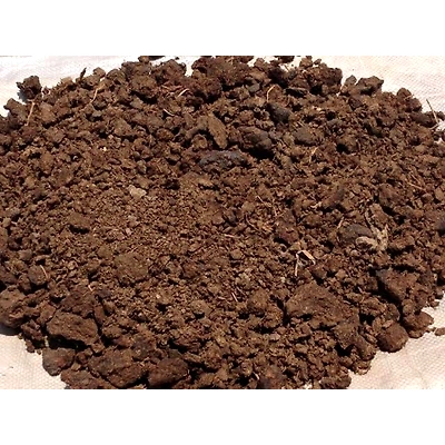 Cow Dung Poop