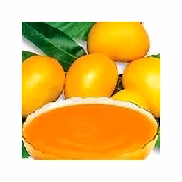 natural alphonso pulp | alphonso mango pulp – the king of mangoes, captured in pure form