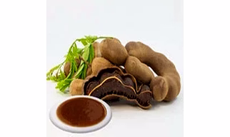 Tamarind Concentrate – Bold Flavour, High Utility for Food Processing