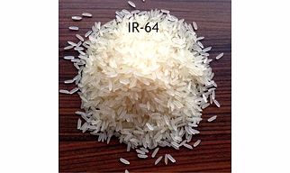 IR 64 Rice