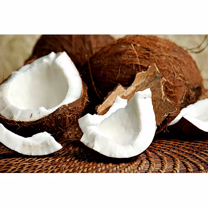 Coconut-2