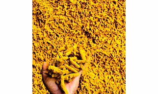 Finger Turmeric