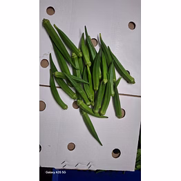 okra