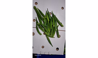 OKRA