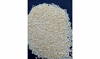 Sesame Seeds