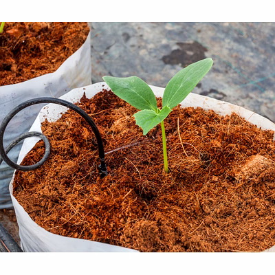 the leafy world low ec coco peat block