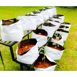 the leafy world grow bags