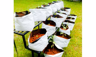 Grow Bags