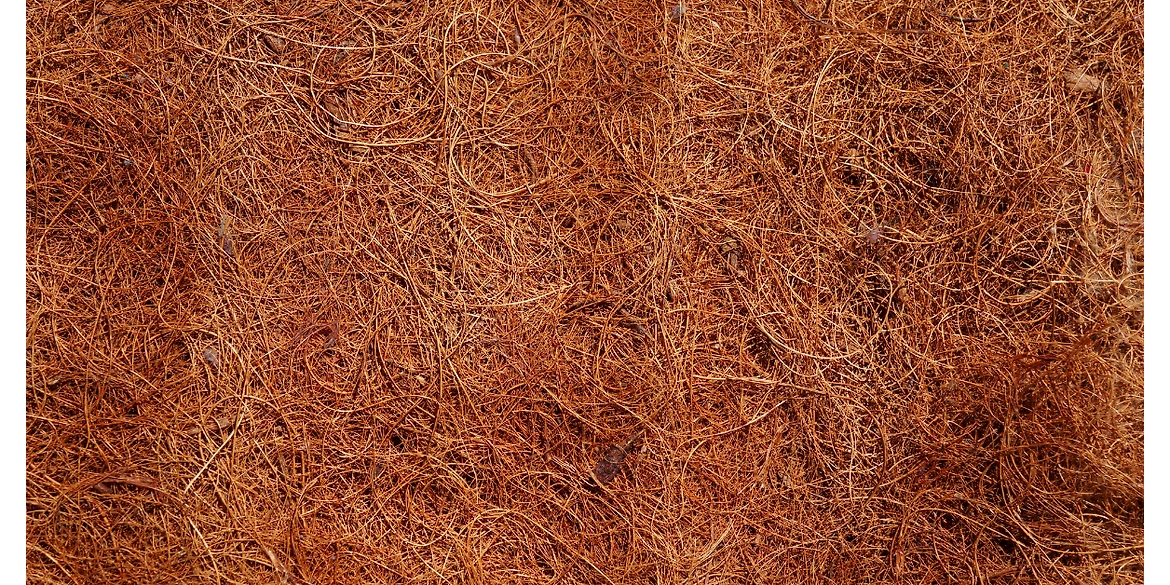 Benefits of Using Coco Peat Fiber in Gardening
