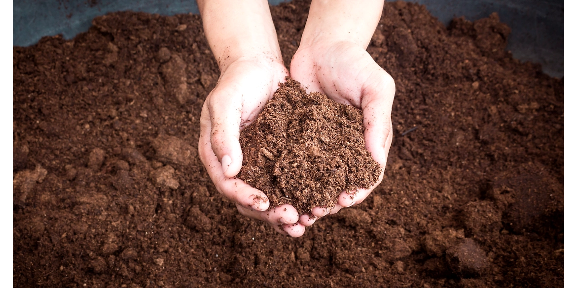 Coco Peat: A Vital Resource and How to Overcome Import Challenges