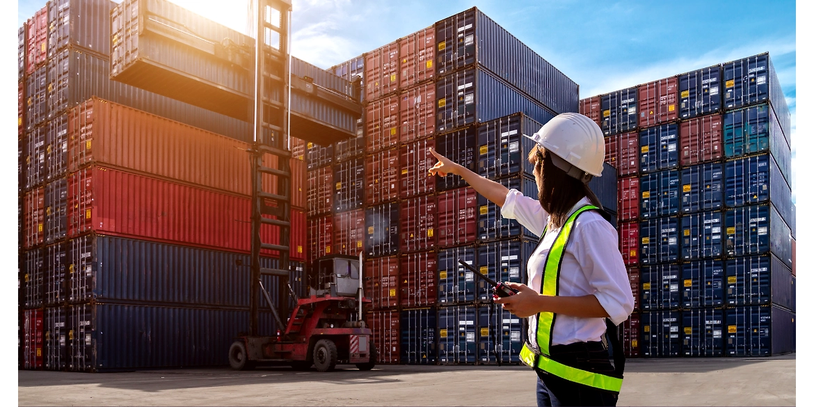 Opportunities in the Export Industry for Coco Peat and Coco Fiber Products