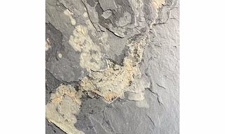 AUTUMN RUSTIC SLATE STONE VENEER