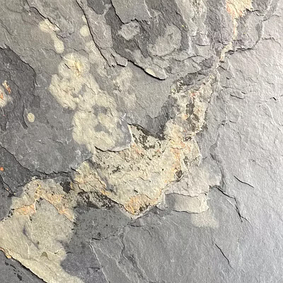 autumn rustic slate stone veneer