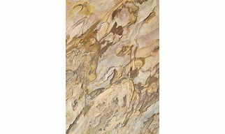 Indian Autumn Slate Stone Veneer