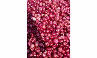 Red Onion