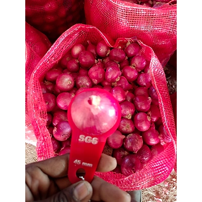 Red Onion-4