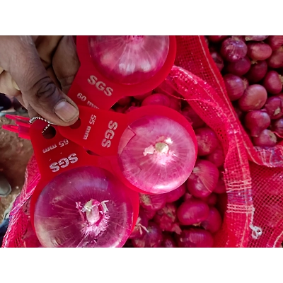 Red Onion-2