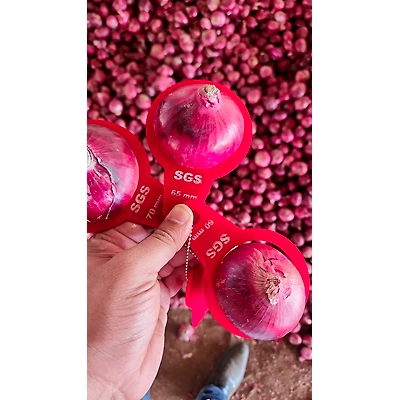 Red Onion-1