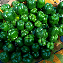 green capsicum