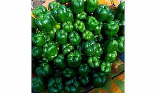 Green Capsicum