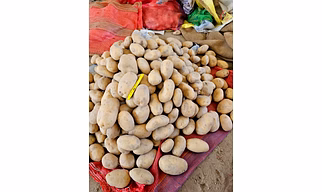 Fresh potato