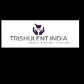 TRISHULENT INDIA-logo