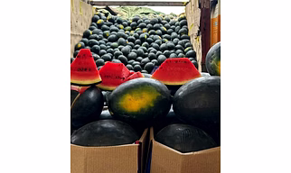 Watermelon