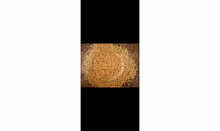 Dehydrated Garlic