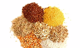 CATTLE FEED - ANIMAL FEED
