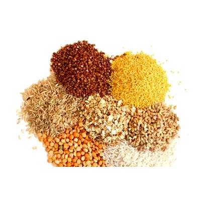 cattle feed - animal feed