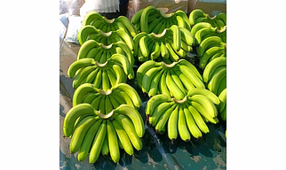BANANA
