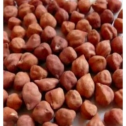 Bengal Gram Chana-4