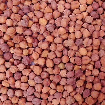 Bengal Gram Chana-1