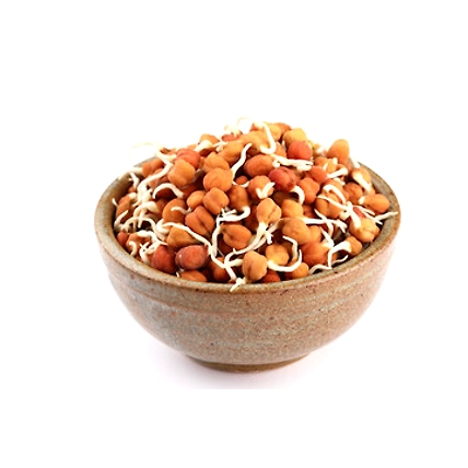 Bengal Gram Chana-2