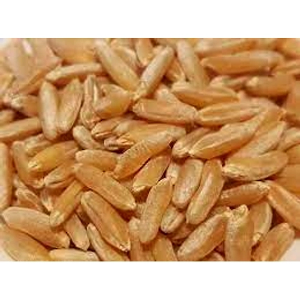 Wheat-3