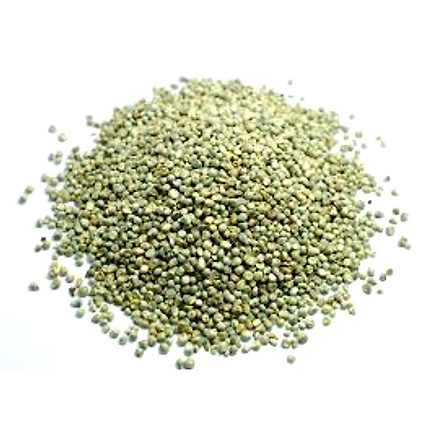 Millet Bajra-2