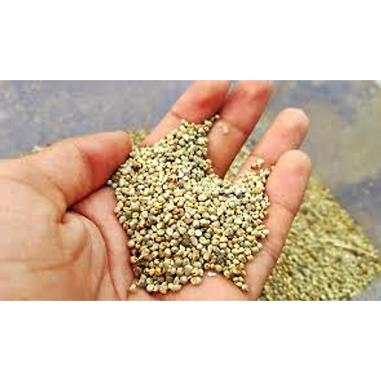 Millet Bajra-3
