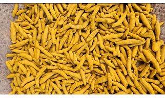 Turmeric Finger