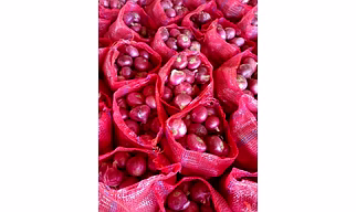 Onions