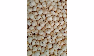 Makhana