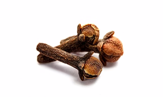 Clove