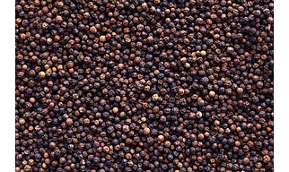 Black pepper