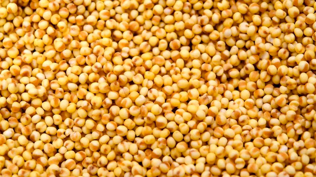 Foxtail millets image 3