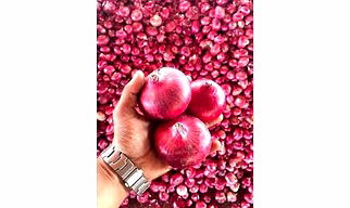 Lasalgaon Nashik Onion