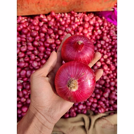 nashik maharashtra onions , grapes, watermelon, all types vegetables